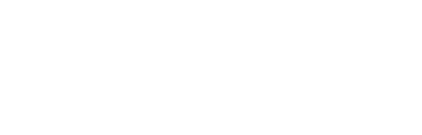 Battery Flies